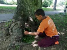 15. 6. 2021 ČaSP 1B - poznávání stromů a tvoření domečků pro lesní skřítky v přírodě