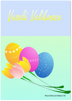 1.místo - Rezníčková Adéla 8.B